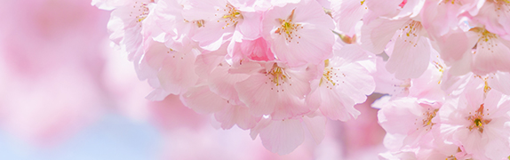 ご利用について