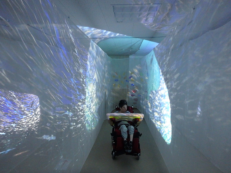 ファンタスカーの投影の様子