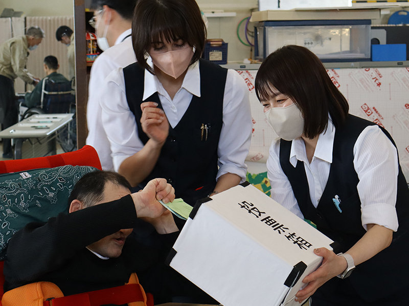 衆議院議員選挙の不在者投票を実施